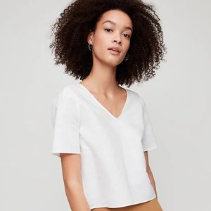 XXS | Babaton | Randy Blouse | 100% Polyester